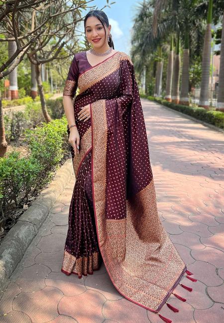 Vt 6004 Premium Banarasi Katan Silk Saree Collection