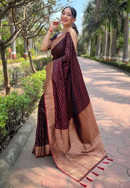 Vt 6004 Premium Banarasi Katan Silk Saree Collection