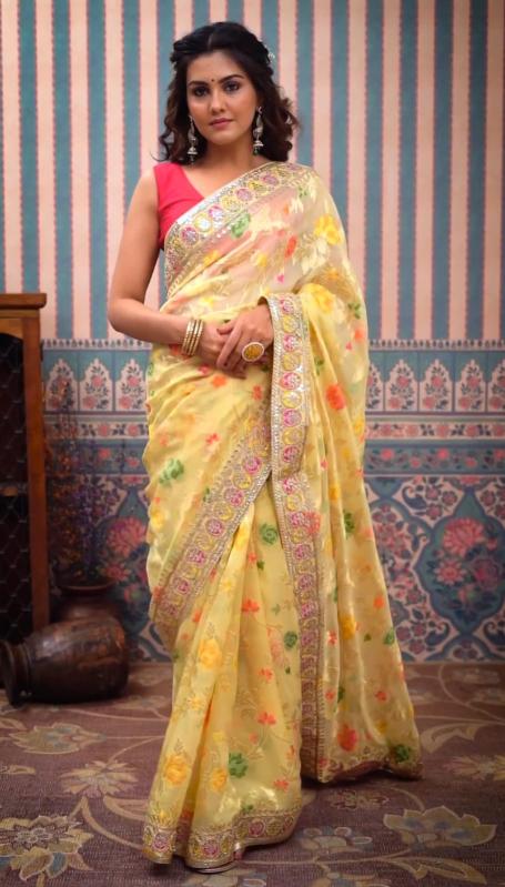 3039 Beatiful Multy Colour Designer Fancy Saree Collection