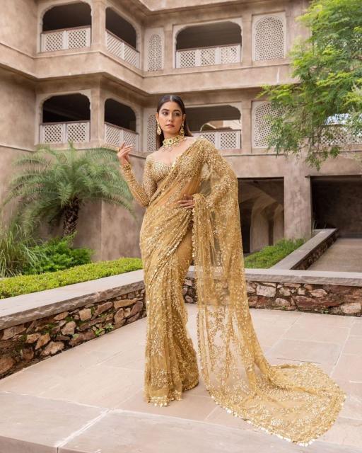 Bt 388 Beautiful Net Sequence Fancy Saree Collection