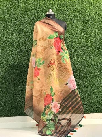 Lilen Silk 02 Fancy Printed Dupatta Collection