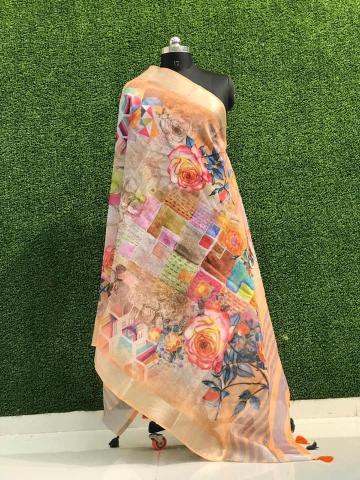 Lilen Silk 02 Fancy Printed Dupatta Collection