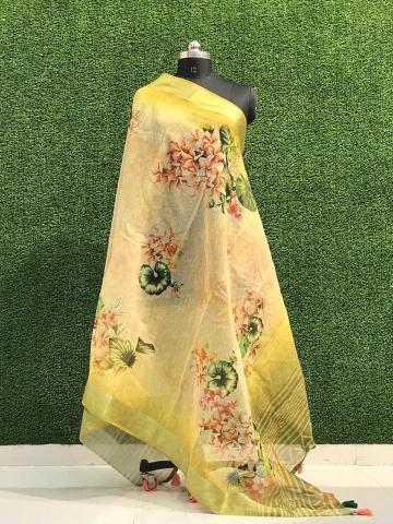 Lilen Silk 02 Fancy Printed Dupatta Collection