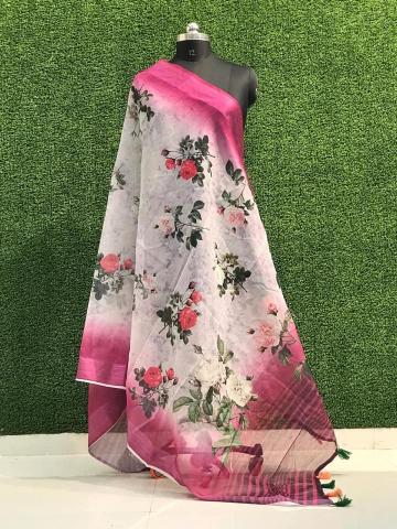 Lilen Silk 02 Fancy Printed Dupatta Collection