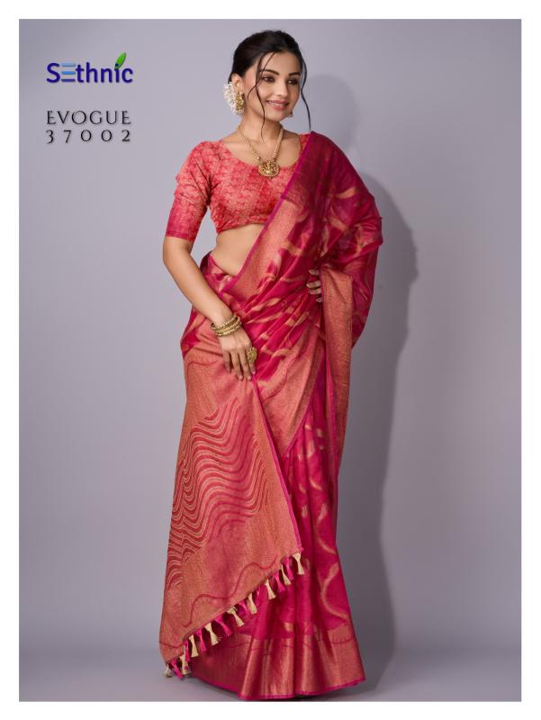 Sethnic Evogue 1 Organza Fancy Saree Collection