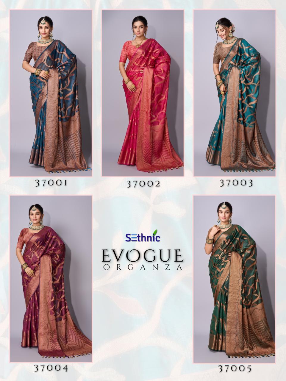 Sethnic Evogue 1 Organza Fancy Saree Collection