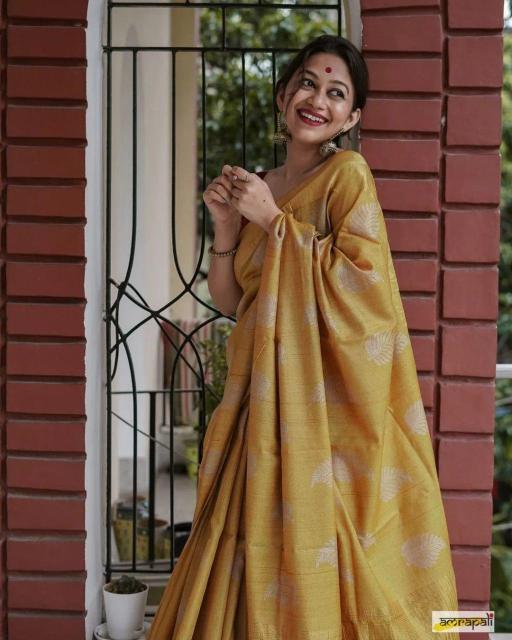 Banarasi 40151 Soft Silk Banarasi Saree Collection