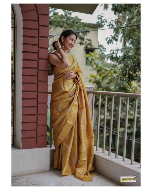 Banarasi 40151 Soft Silk Banarasi Saree Collection